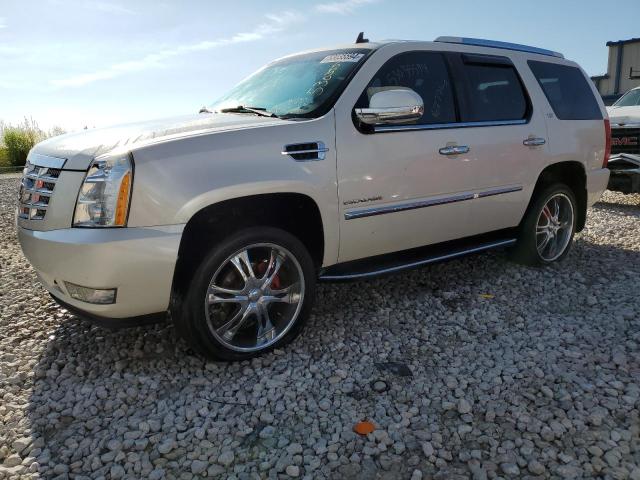 Auction sale of the 2010 Cadillac Escalade Luxury, vin: 1GYUKBEF7AR111009, lot number: 53035594