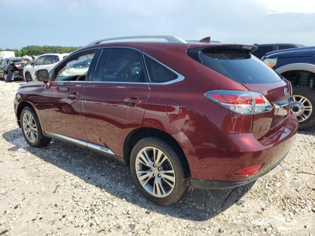 JTJBC1BA1E2452463 Lexus RX 450