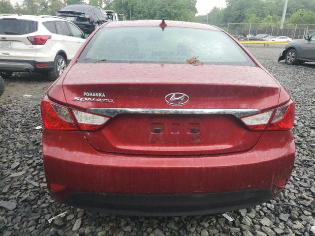 5NPEB4AC9EH910675 Hyundai SONATA GLS
