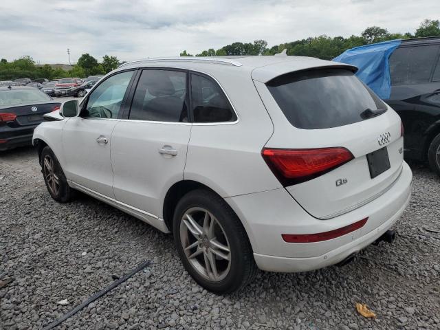 WA1LFAFP2FA060879 Audi Q5 Premium Plus