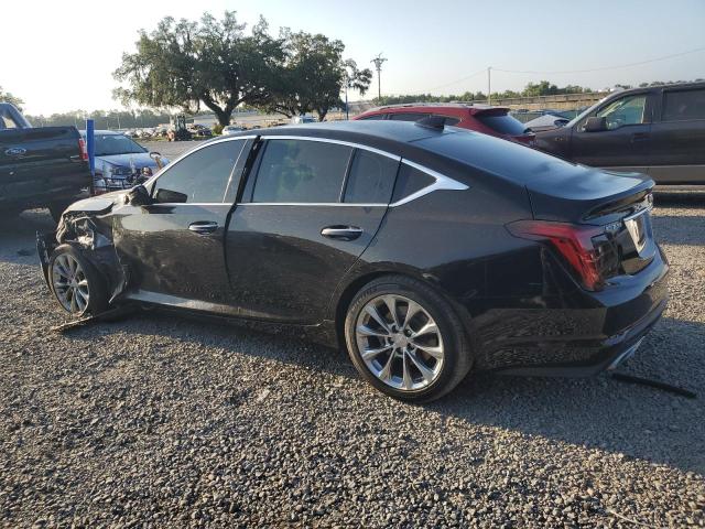 1G6DN5RK9L0146229 Cadillac Ct5 Premium Luxury