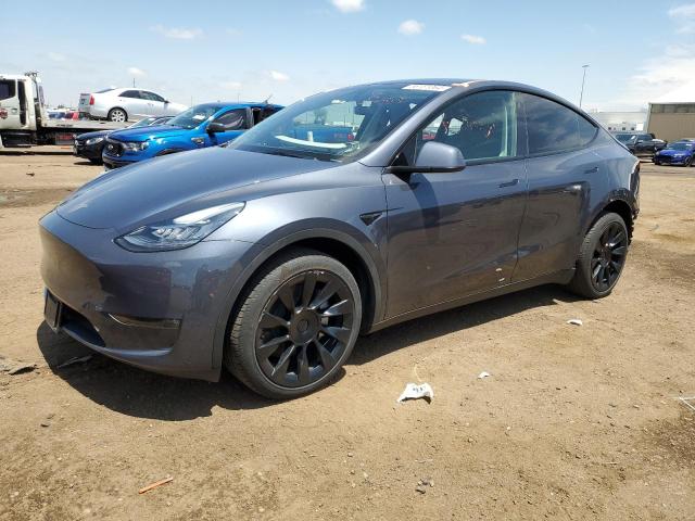 Продаж на аукціоні авто 2023 Tesla Model Y, vin: 7SAYGDEE0PA081748, номер лоту: 56151064
