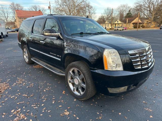 Auction sale of the 2009 Cadillac Escalade Esv Luxury, vin: 1GYFK26239R101786, lot number: 53539044