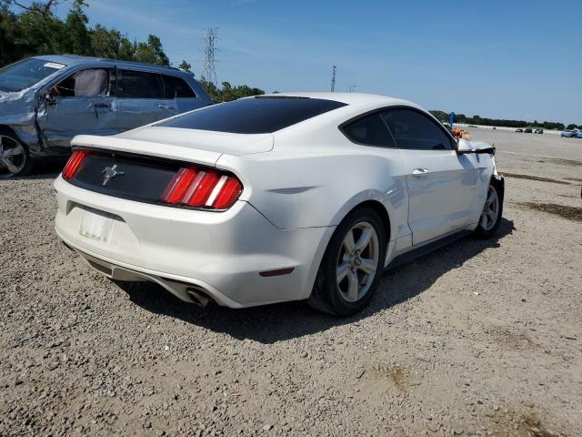 1FA6P8AM8G5251311 Ford Mustang