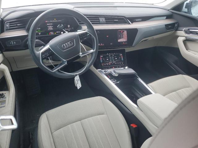 WA15AAGE8RB028666 Audi Q8 E-tron