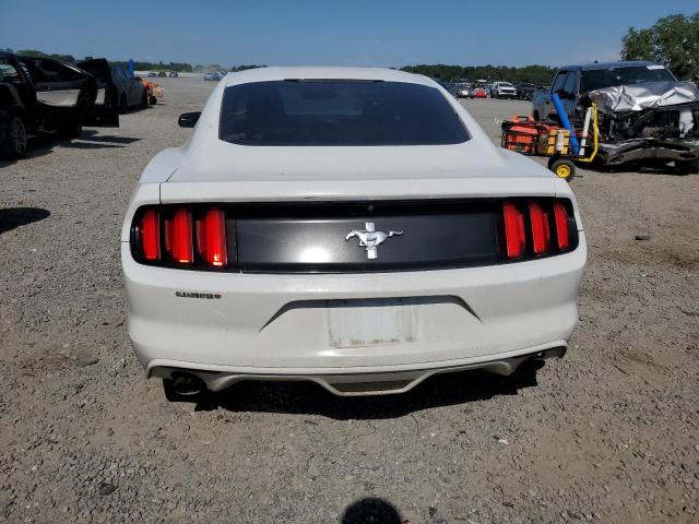 1FA6P8AM8G5251311 Ford Mustang