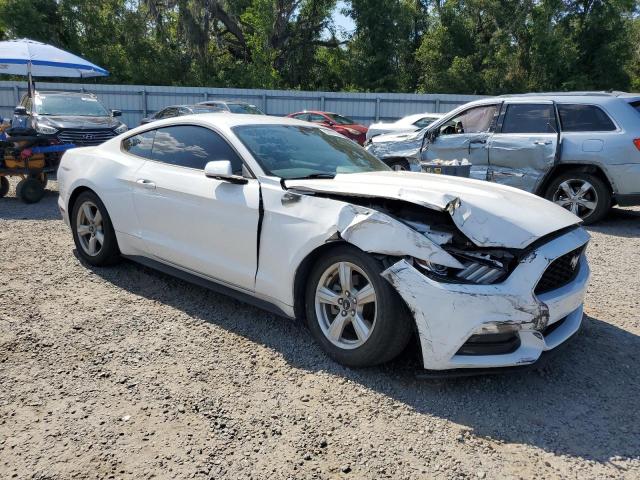1FA6P8AM8G5251311 Ford Mustang
