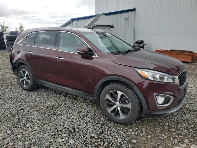 5XYPH4A58HG260693 KIA Sorento