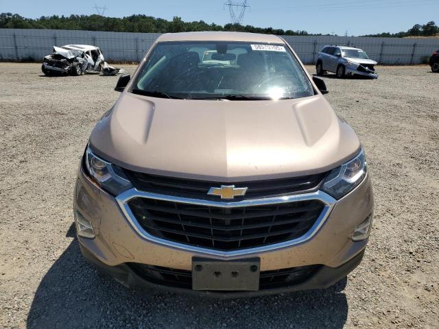 2GNAXREV8J6263944 Chevrolet EQUINOX LS