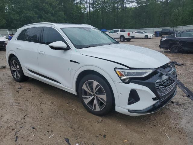 WA15AAGE8RB028666 Audi Q8 E-tron