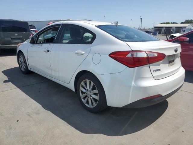 KNAFX4A61G5446491 KIA FORTE LX