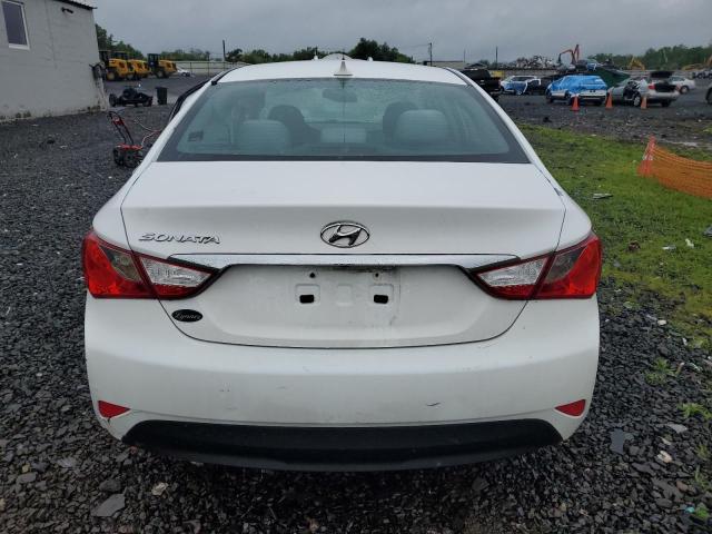 5NPEB4AC3EH850375 Hyundai SONATA GLS