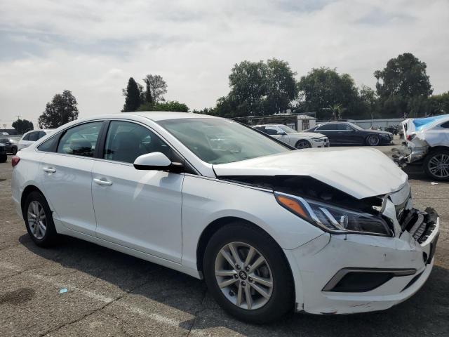 5NPE24AF0HH560657 Hyundai 2017