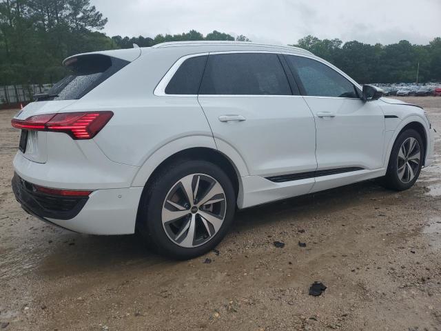 WA15AAGE8RB028666 Audi Q8 E-tron