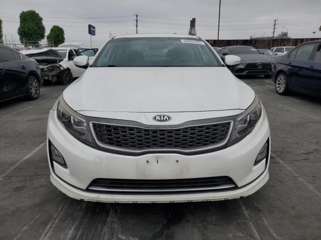 KNAGM4AD5G5095855 KIA OPTIMA HYB