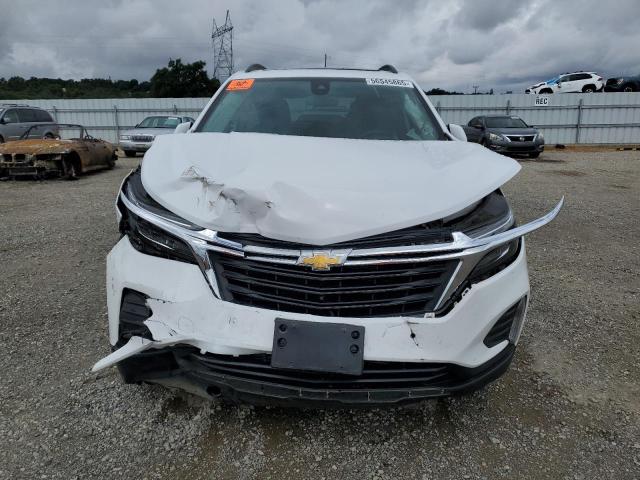 3GNAXKEG8PL215079 Chevrolet lsd
