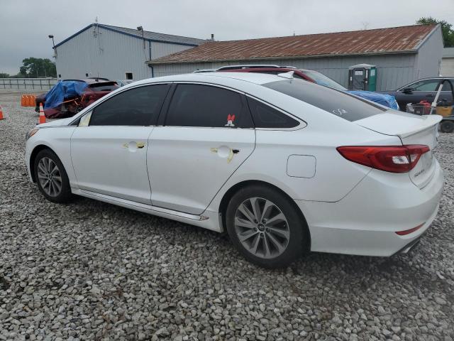 5NPE34AF2FH080162 Hyundai SONATA SPO