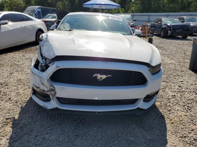 1FA6P8AM8G5251311 Ford Mustang