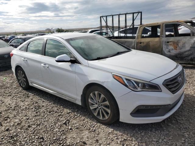 5NPE34AF5GH320869 Hyundai SONATA SPO