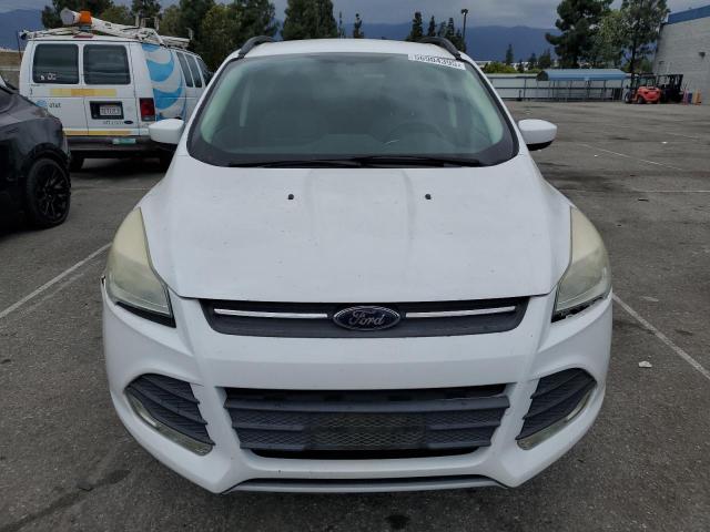 1FMCU0GX9EUB80496 Ford ESCAPE SE
