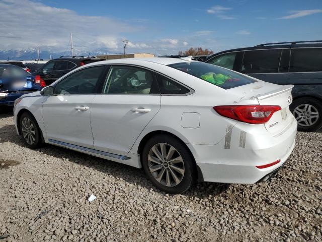 5NPE34AF5GH320869 Hyundai SONATA SPO