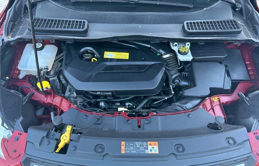 1FMCU0GXXEUD16702 Ford ESCAPE SE