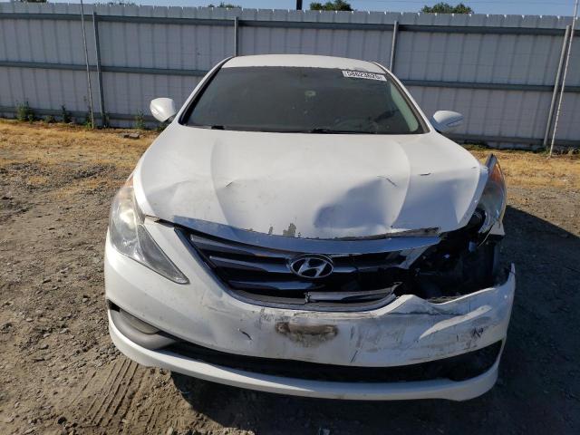 5NPEC4AC2EH916119 Hyundai gamma