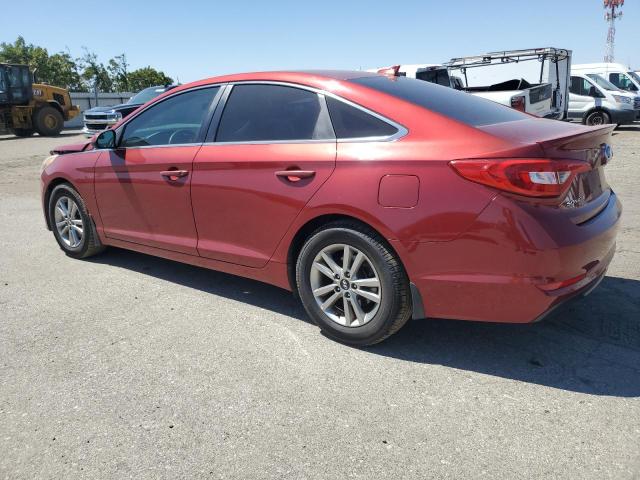 5NPE24AF5FH256687 Hyundai SONATA SE