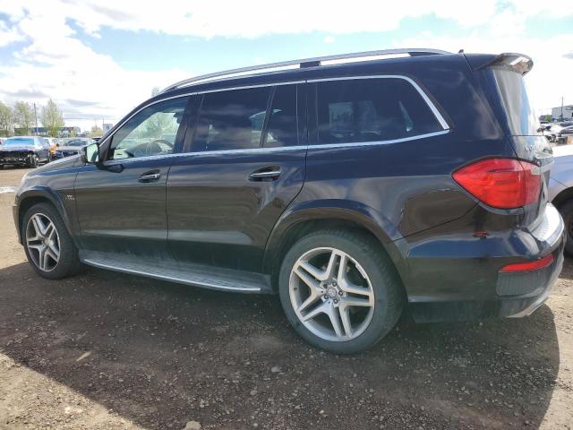4JGDF7DE9FA506603 Mercedes-Benz Gl-Class