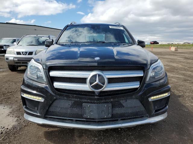 4JGDF7DE9FA506603 Mercedes-Benz Gl-Class