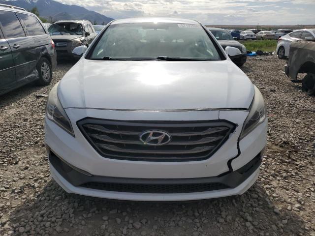 5NPE34AF5GH320869 Hyundai SONATA SPO
