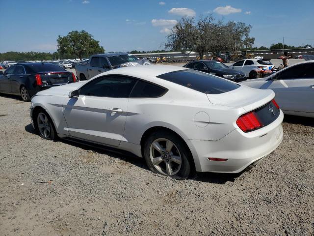 1FA6P8AM8G5251311 Ford Mustang