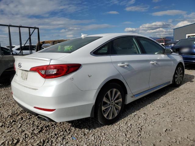 5NPE34AF5GH320869 Hyundai SONATA SPO