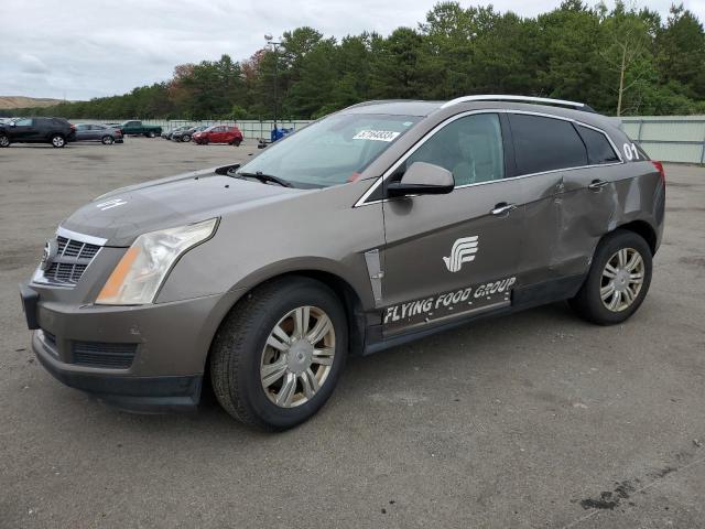 Auction sale of the 2011 Cadillac Srx Luxury Collection, vin: 3GYFNDEY6BS675147, lot number: 41155044