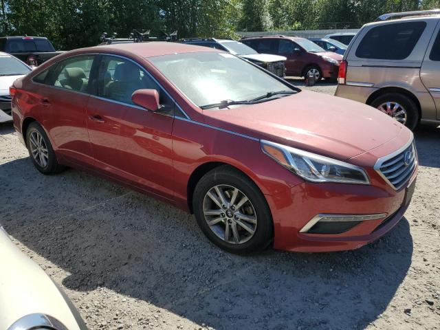 5NPE24AF8FH038646 Hyundai SONATA SE