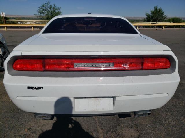 2C3CDYBT3EH137576 Dodge Challenger R/t