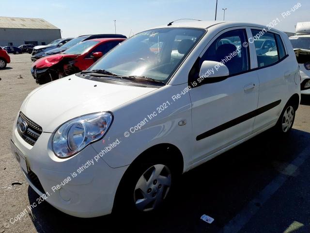 Auction sale of the 2009 Kia Picanto 12, vin: KNABA24429T784652, lot number: 56435683