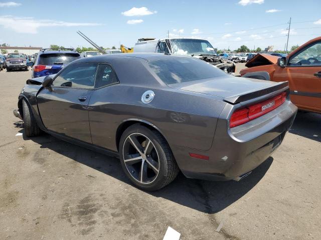 2C3CDYBT9EH304300 Dodge Challenger R/t