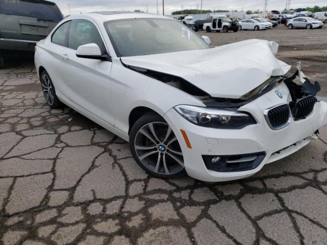 WBA1G9C53GV599255 BMW 228 Xi Sulev