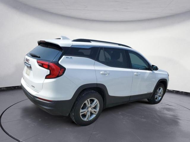 3GKALTEV4LL253996 GMC Terrain Sle
