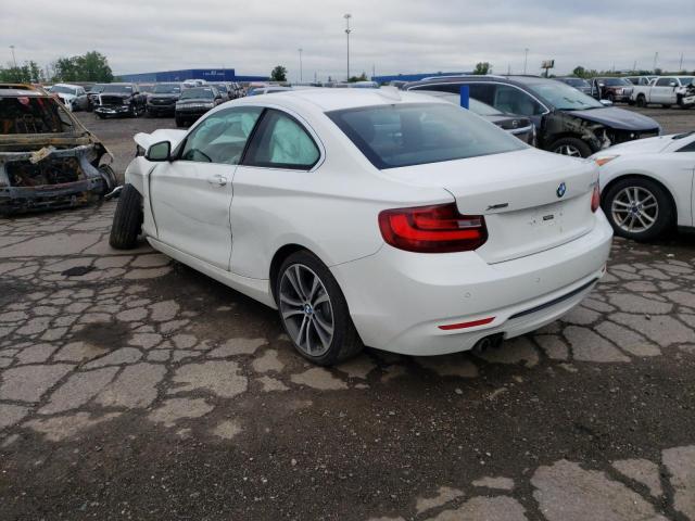 WBA1G9C53GV599255 BMW 228 Xi Sulev