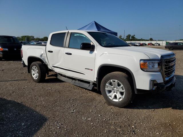 1GTG6FEN9N1199085 GMC Canyon At4
