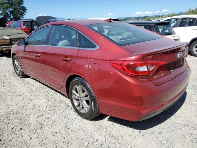5NPE24AF8FH038646 Hyundai SONATA SE