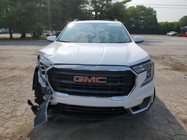 3GKALTEG9PL168370 GMC Terrain Sle