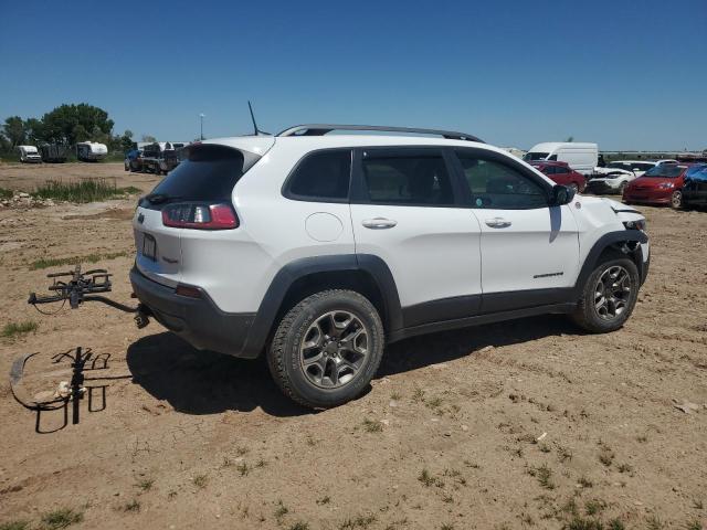 1C4PJMBXXLD627119 Jeep Cherokee Trailhawk