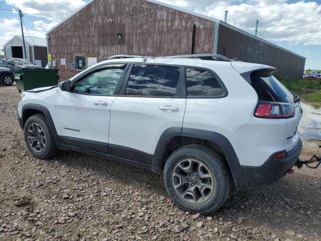 1C4PJMBXXLD627119 Jeep Cherokee Trailhawk
