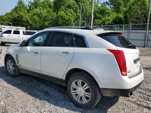 3GYFNBE36GS555462 Cadillac Srx Luxury Collection