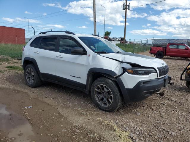 1C4PJMBXXLD627119 Jeep Cherokee Trailhawk