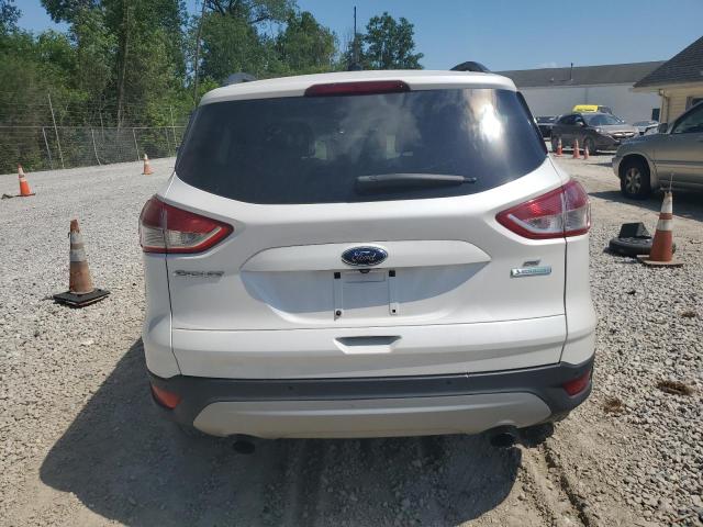 1FMCU0GXXEUB83259 Ford ESCAPE SE