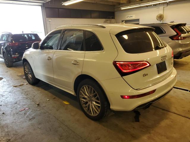 WA1M2AFP6HA045952 Audi Q5 Premium Plus